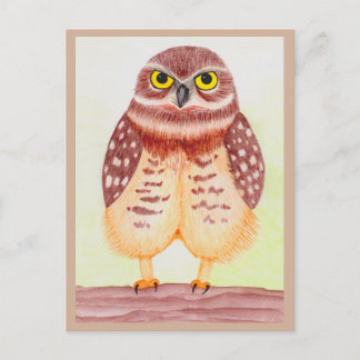 Eule Postkarte Vykort