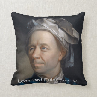 Euler Pillow Kudde