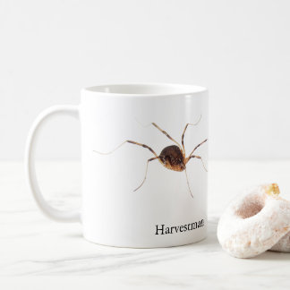 Eumesosoma roeweri skördetrupial locke Mugg