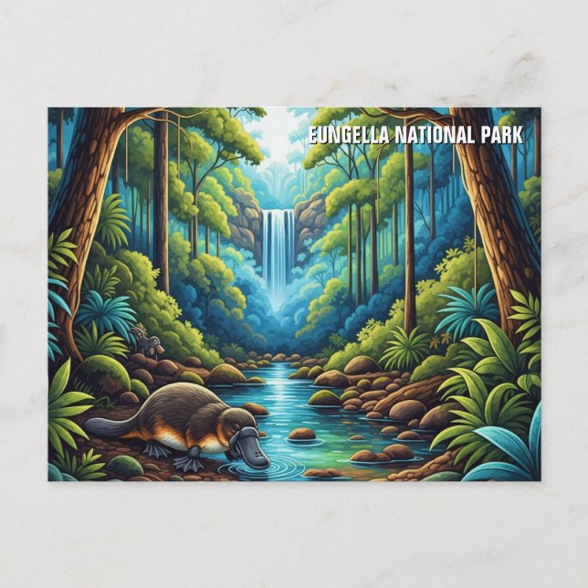 Eungella nationalpark Australien Vykort (Framsida)