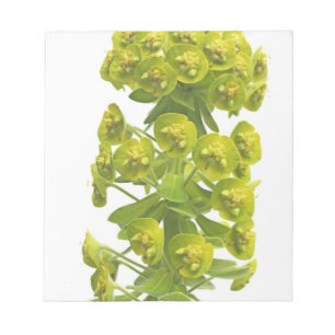 Euphorbia Anteckningsblock