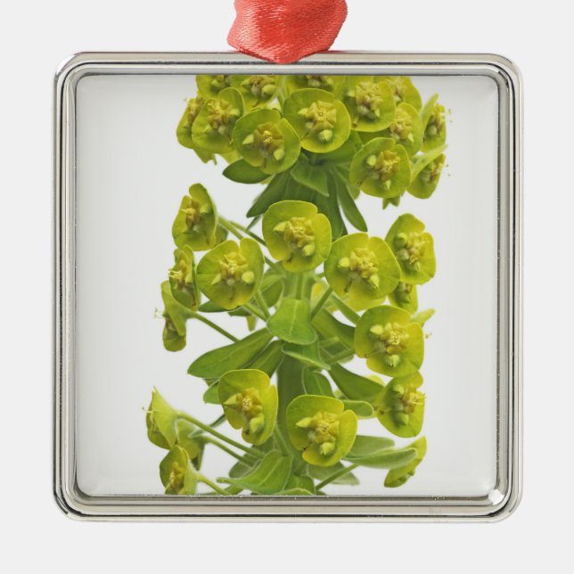 Euphorbia Julgransprydnad Metall (Framsidan)