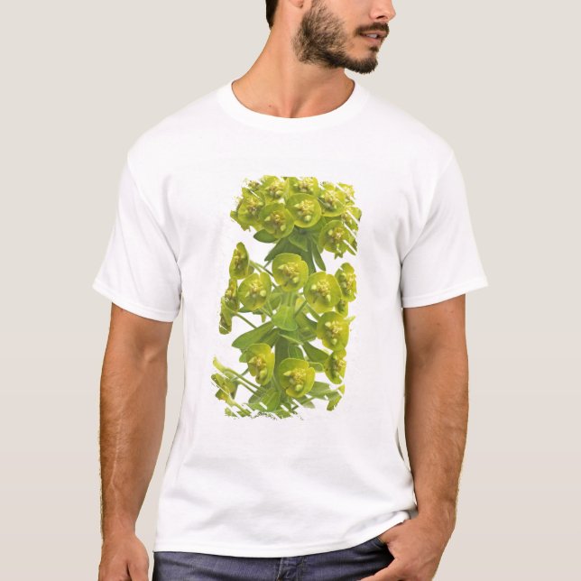Euphorbia T-shirt (Framsida)