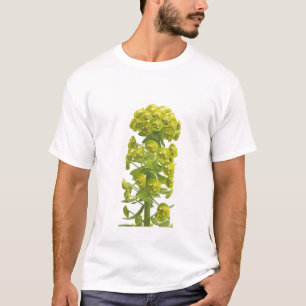 Euphorbia T Shirt
