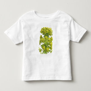Euphorbia Tee