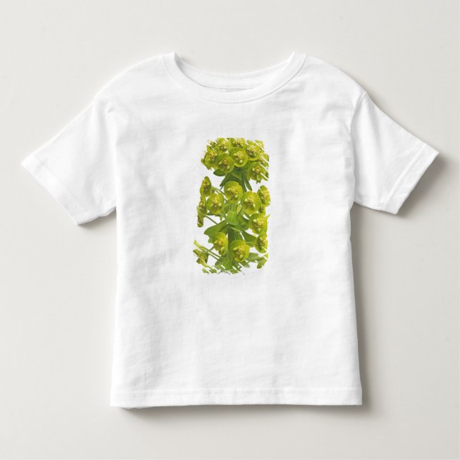 Euphorbia Tee (Framsida)