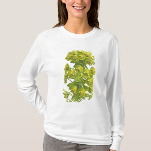 Euphorbia Tröja