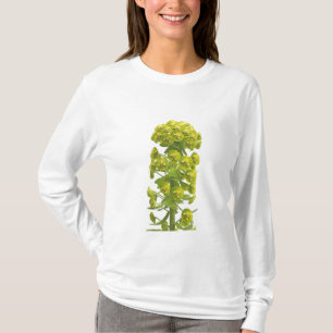 Euphorbia Tröja