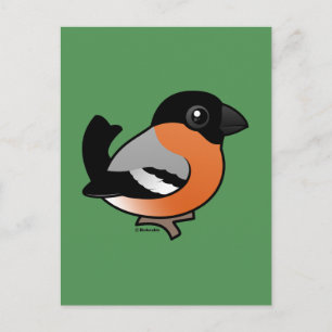 Eurasian Bullfinch Vykort