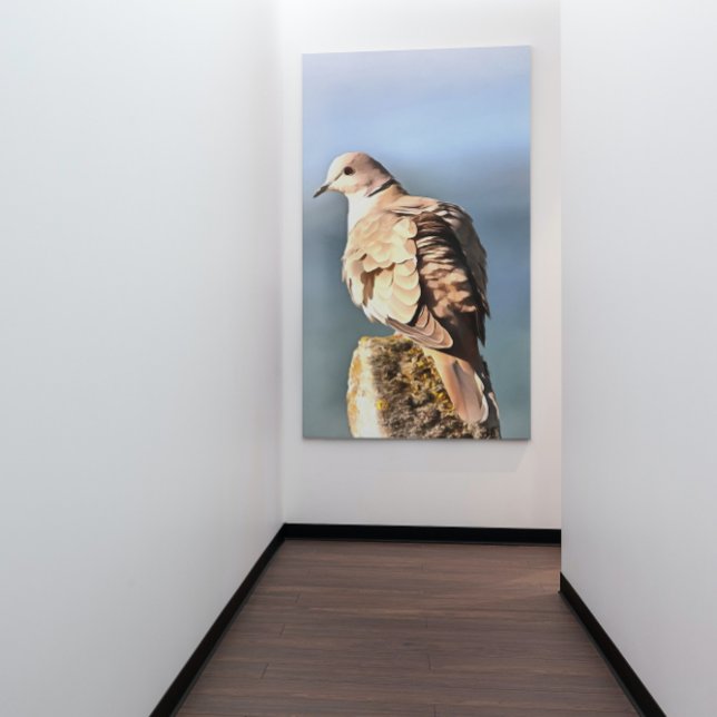 Eurasian Collard Dove Wildlife Art Canvastryck (Skapare uppladdad)