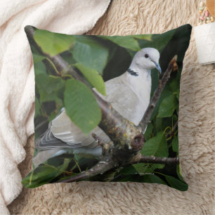 Eurasian Collred Dove Songbird på Cherry Träd Kudde