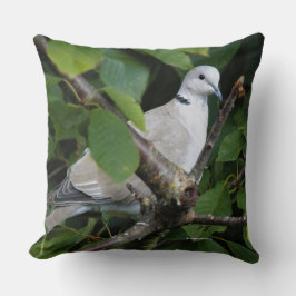 Eurasian Collred Dove Songbird på Cherry Träd Kudde