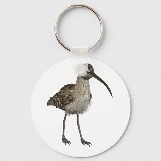 Eurasian Curlew Nyckelring (Framsida)