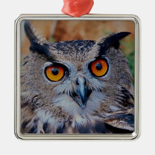Eurasian Eagle Uggla Julgransprydnad Metall (Framsidan)