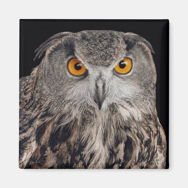 Eurasian Eagle Uggla Magnet (Framsidan)