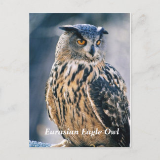 Eurasian Eagle Uggla Vykort