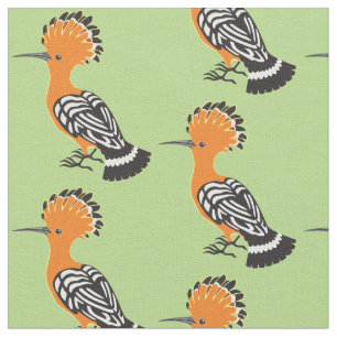 Eurasian Hoopoe (Upupa epops) Tyg