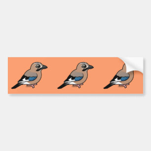 Eurasian Jay Bildekal