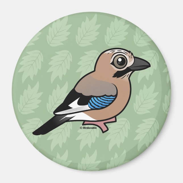 Eurasian Jay Magnet (Framsidan)