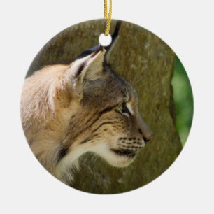 Eurasian Lynx Julgransprydnad Keramik