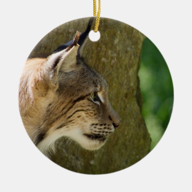 Eurasian Lynx Julgransprydnad Keramik (Framsidan)