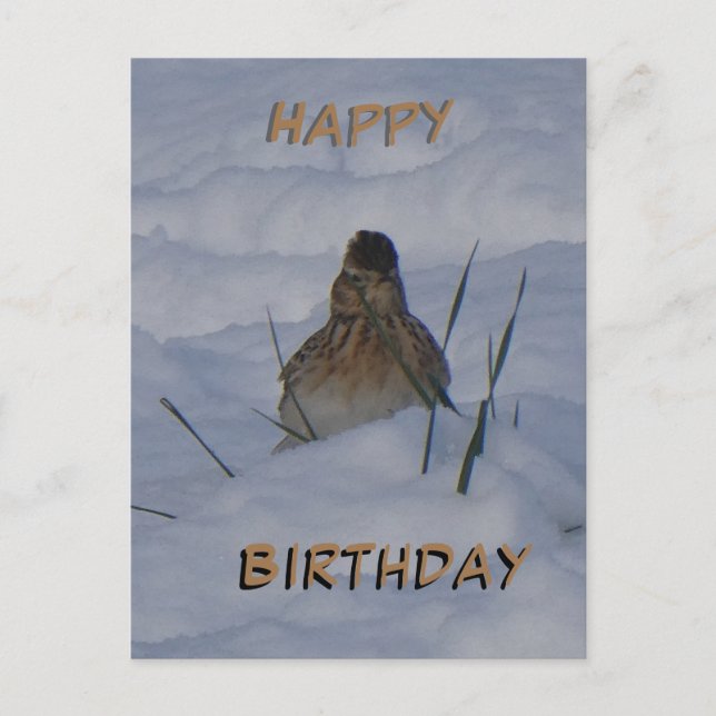 Eurasian Skylark Bird Cust. Text Birthday Postcard Helg Vykort (Framsida)