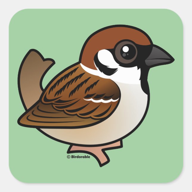 Eurasian Träd Sparrow Fyrkantigt Klistermärke (Framsida)