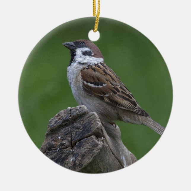 Eurasian Träd Sparrow Julgransprydnad Keramik (Framsidan)