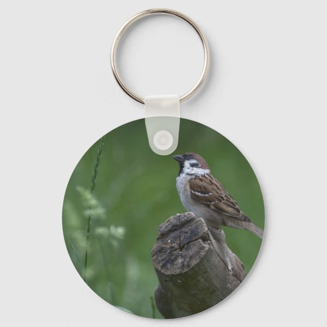 Eurasian Träd Sparrow Nyckelring (Framsida)
