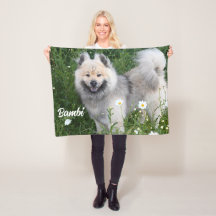 Eurasier Adsible Pet Hund Photo Stallion Sherpa