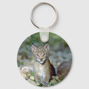 Eurasisk lynx, unge kattunge nyckelring