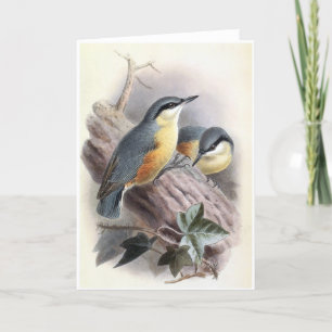 Eurasisk nuthatch - fågelkort helgkort