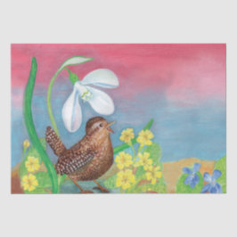 Eurasisk wren & Snödroppe & Primroses