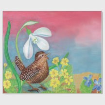Eurasisk wren & Snödroppe & Primroses