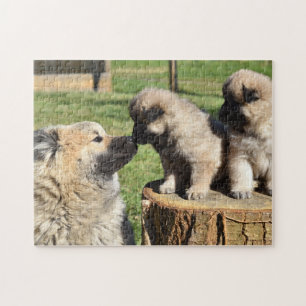 Eurasiska Hund och valpar Pussel