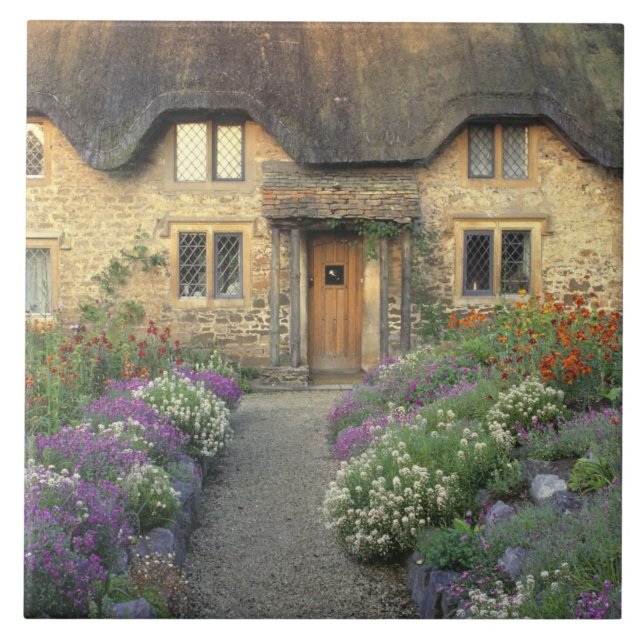 Europa, England, Chippenham. Tidig morgonljus Kakelplatta (Framsidan)