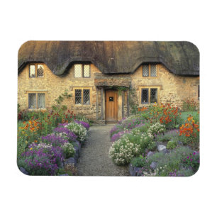 Europa, England, Chippenham. Tidig morgonljus Magnet