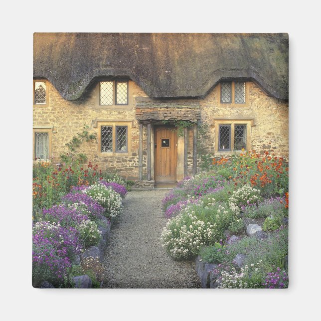 Europa, England, Chippenham. Tidig morgonljus Magnet (Framsidan)
