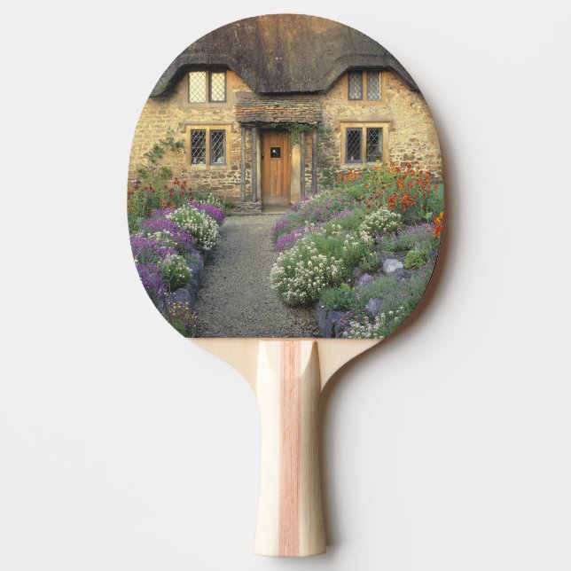 Europa, England, Chippenham. Tidig morgonljus Pingisracket (Framsidan)