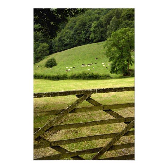 Europa, England, Lake District, Cumbria, Fototryck (Framsidan)