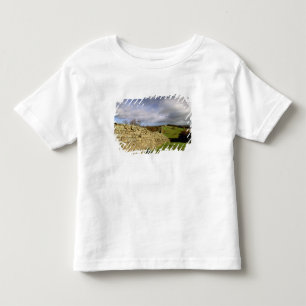 Europa, England, Northumberland. Hadrian's T Shirt