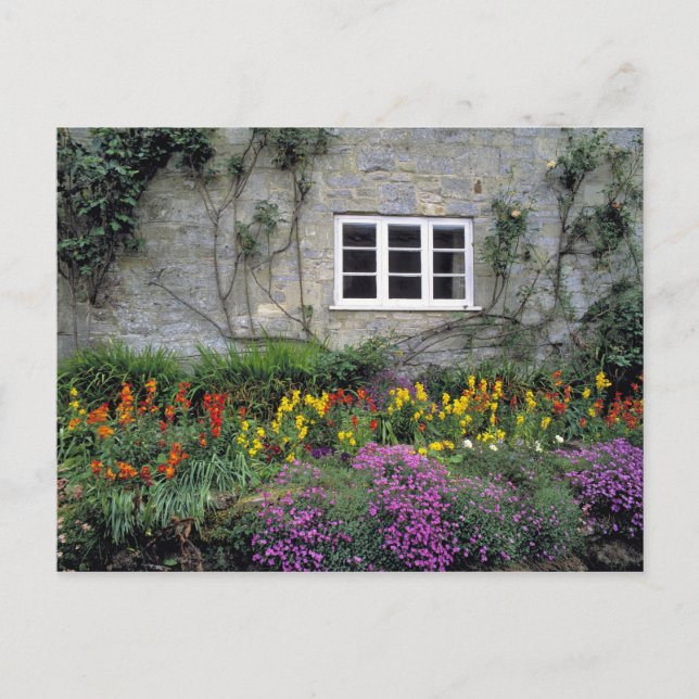 Europa, England, Teffont Magna. Blommor fyller Vykort (Framsida)