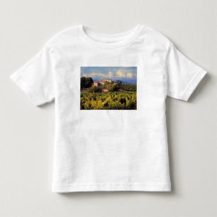 Europa, Frankrike, Bonnieux. Vinodlingar täcker T-shirt