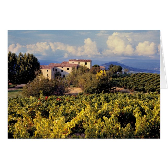 Europa, Frankrike, Bonnieux. Vinodlingarna täcker Hälsningskort (Framsidan Horizontal)