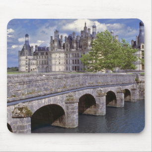 Europa, Frankrike, Chambord. En stentobro leder Musmatta