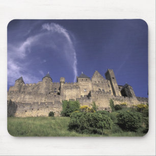 Europa, Frankrike, Languedoc; Aude; Carcassonne, Musmatta