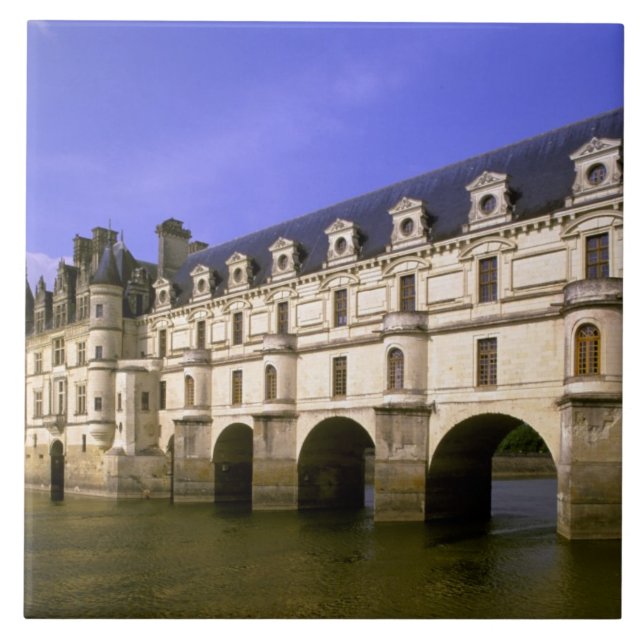 Europa, Frankrike, Loire-dalen. Slott Kakelplatta (Framsidan)