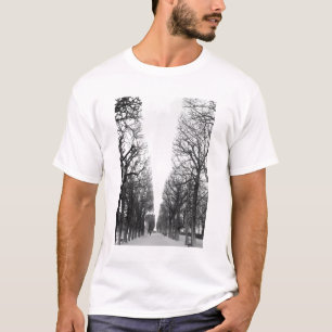 Europa, Frankrike, Paris. Vinterträd, Marco Polo T Shirt