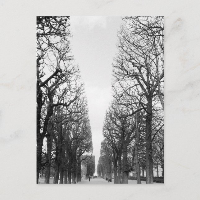 Europa, Frankrike, Paris. Vinterträd, Marco Polo Vykort (Framsida)