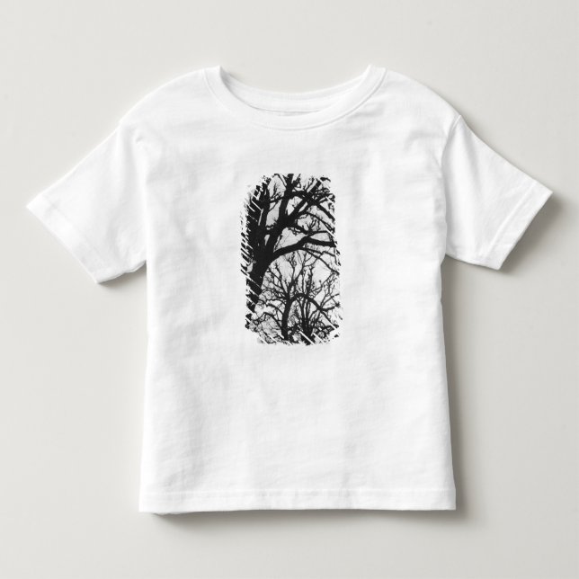 Europa, Frankrike, Paris. Vinterträd, Marco T-shirt (Framsida)